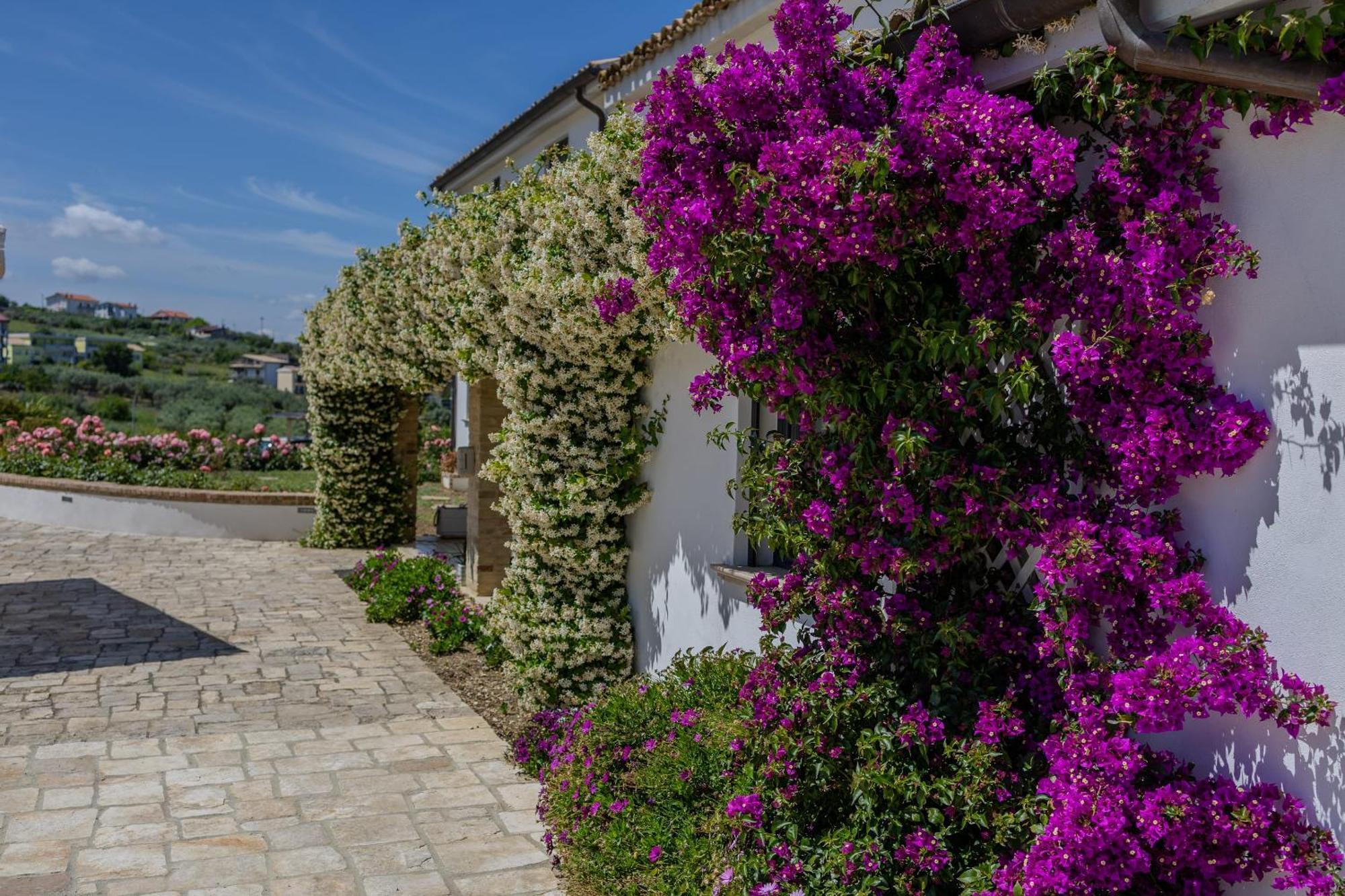 Villaggio Cristina Bed & Breakfast *
